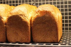 07 boulangerie gout（ブーランジュリーグウ)ハードトースト