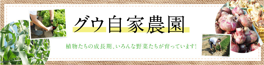 boulangerie gout（ブーランジュリーグウ) 自家農園